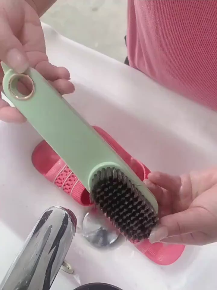 Shoe Brush